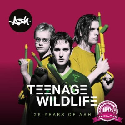 Ash - Teenage Wildlife: 25 Years of Ash (2020)