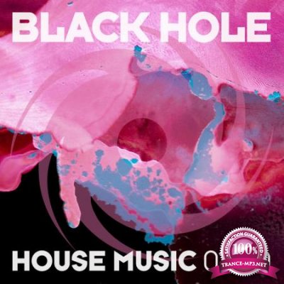 Black Hole: Black Hole House Music 02-20 (2020)