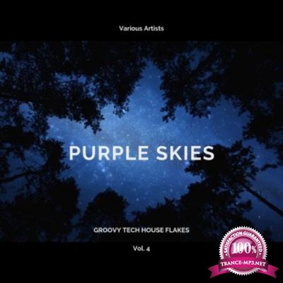 Purple Skies (Groovy Tech House Flakes), Vol. 4 (2020)