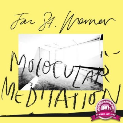 Jan St. Werner feat Mark E. Smith - Molocular Meditation (2020)