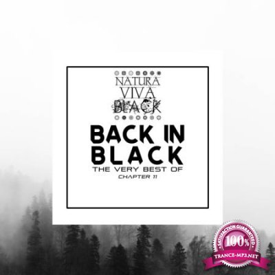 Back in Black! (The very best of) Chapter 11 (2020)