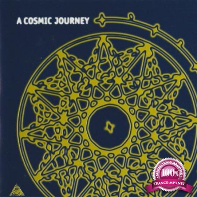 A Cosmic Journey (2020)