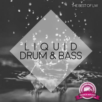 Best of LW Liquid Drum & Bass IV (2020) FLAC
