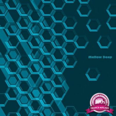 Le Bien Et Le Mal Recordings - Mellow Deep (2020)