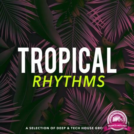 Tropical Rhythms (2020)