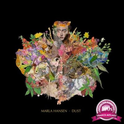 Marla Hansen - Dust (2020)