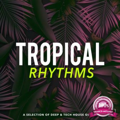 Tropical Rhythms (2020)