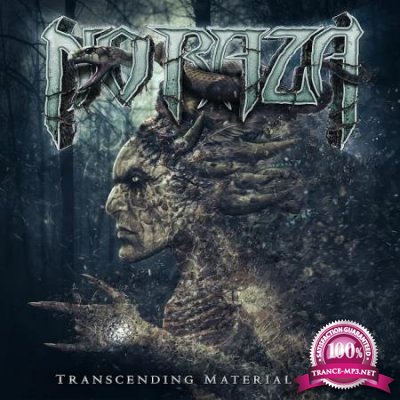 No Raza - Transcending Material Sins (2020)