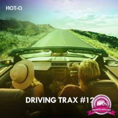 Driving Trax, Vol. 12 (2020)