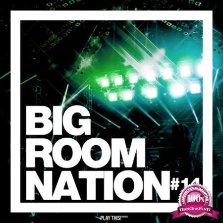 Big Room Nation, Vol. 14 (2020)