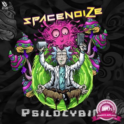 Spacenoize - Psilocybin (Single) (2020)