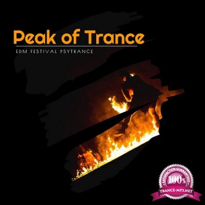 VA - Peak Of Trance (EDM Festival Psytrance) (2020)
