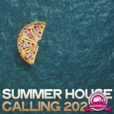 Summer House Calling 2020 (2020)