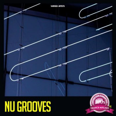 Nu Grooves (2020)