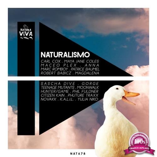 Natura Viva - Naturalismo (2020)
