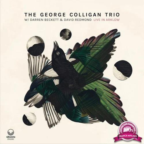 George Colligan - Live in Arklow (2020)