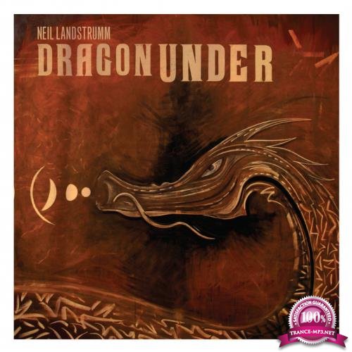 Neil Landstrumm - Dragon Under (2020 Reissue) (2020)