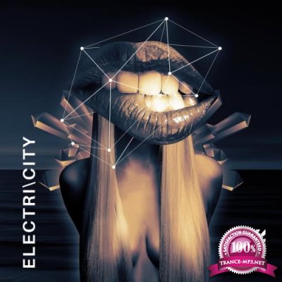 Electricity Vol 2 (2020)