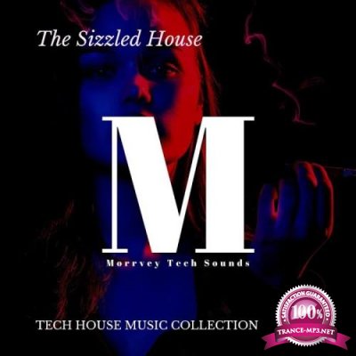 DJ Taus - The Sizzled House - Tech House Music Collection (2020)