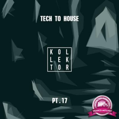 Tech to House, Part. 17 (2020)