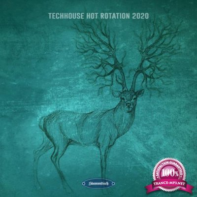 Techhouse Hot Rotation 2020 (2020)