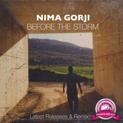 Nima Gorji - Before The Storm (2020) FLAC
