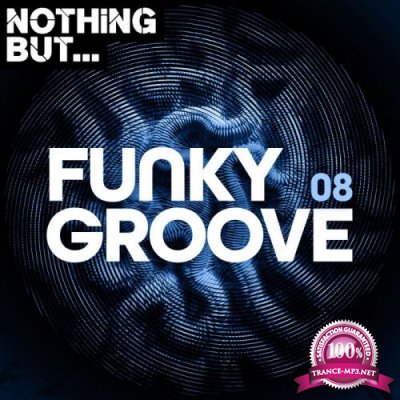 Nothing... But Funky Groove Vol 08 (2020)
