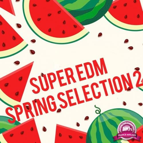 Super Edm Spring Selection 2 (2020)