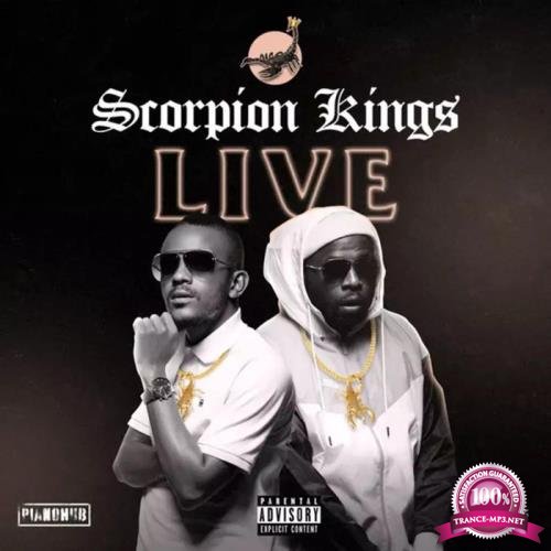 Kabza De Small - Scorpion Kings Live (2020)