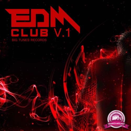 EDM Club Vol 1 (2020)
