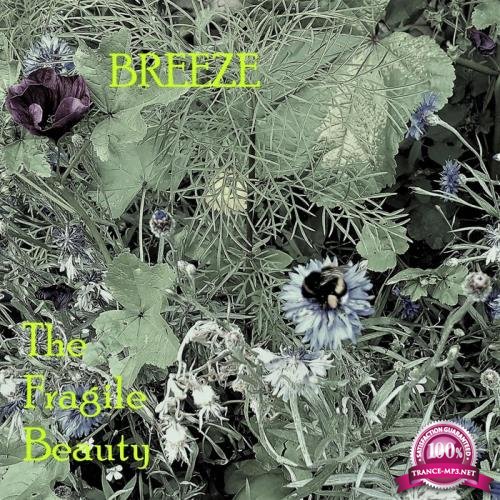 BREEZE - The Fragile Beauty (2020)