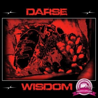 Darse - Wisdom (2020)