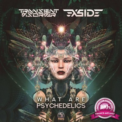 Transient Disorder & X-Side - What Are Psychedelics (Single) (2020)