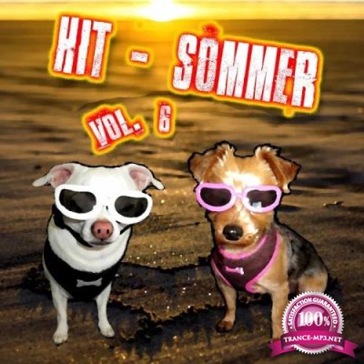 Hit-Sommer Vol. 6 (2020)