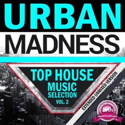 Urban Madness Top House Music Selection Vol 2 (2020)