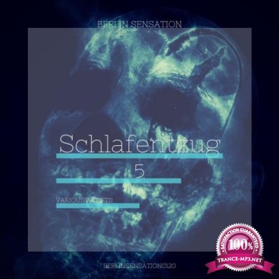 Schlafentzug Vol 5 The Psy-Goa & Progressive Trance Collection (2020)