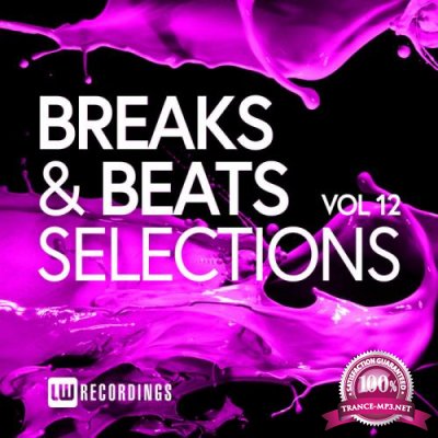 Breaks & Beats Selections Vol 12 (2020) 