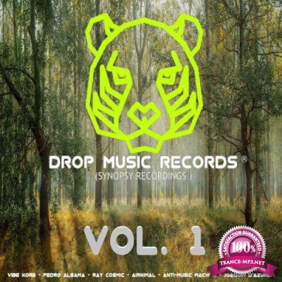 Drop Music Records (Synopsy Recordings), Vol. 1 (2020)