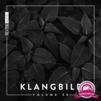 Klangbild, Vol. 30 (2020)