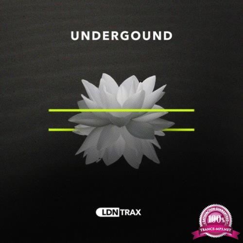 LDN Trax - Underground (2020)