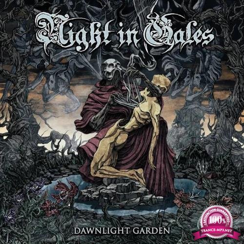 Night In Gales - Dawnlight Garden (2020)