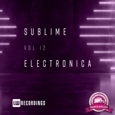 Sublime Electronica, Vol. 12 (2020)