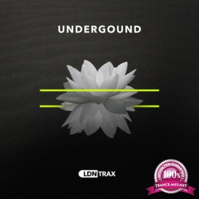 LDN Trax - Underground (2020)
