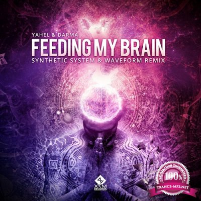 Yahel & Darma - Feeding My Brain (Synthetic System & Waveform Remix) (Single) (2020)