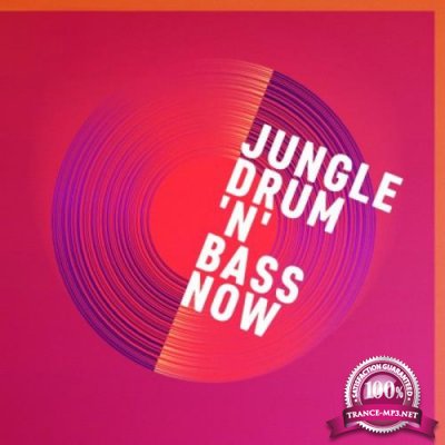 Jungle, Drum 'n' Bass Now (2020)