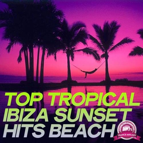 Top Tropical Ibiza Sunset Hits Beach (2020)