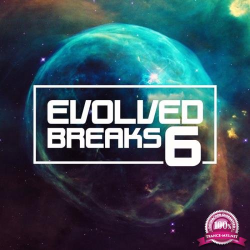Evolved Breaks 6 (2020) 