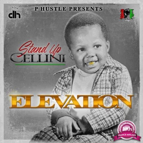 Stand Up Cellini - Elevation (2020)