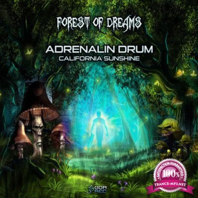 Adrenalin Drum Vs. California Sunshine - Forest Of Dreams (2020)