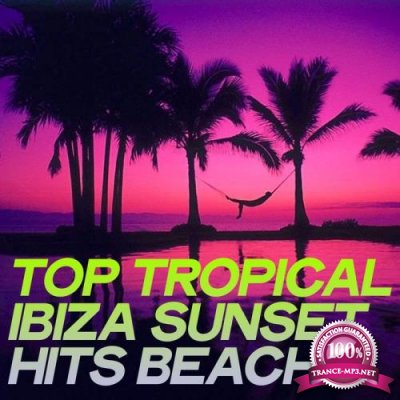 Top Tropical Ibiza Sunset Hits Beach (2020)